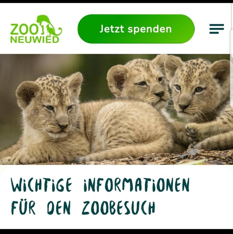 Fewo Mit Terasse Neuwied & Koblenz Bagian luar foto